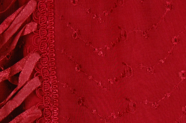 Handkerchief Hem Embroidered Skirt in Ruby Red